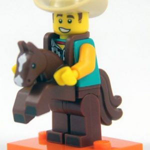 Cowboy Costume Guy, Series 18