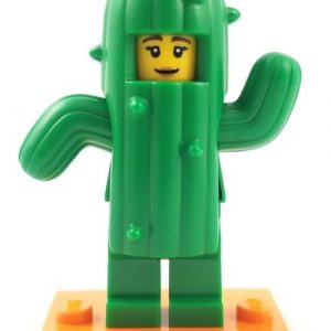Cactus Girl, Series 18