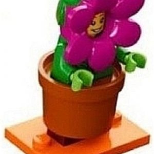 Flowerpot Girl, Series 18